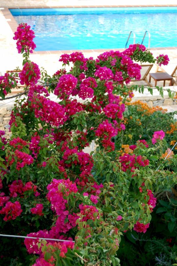 Aeolos Hotel Koufonisia المظهر الخارجي الصورة